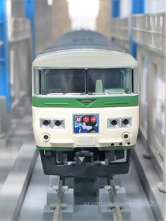 185系（踊り子・強化形スカート付）が入線しました。TOMIX 98304