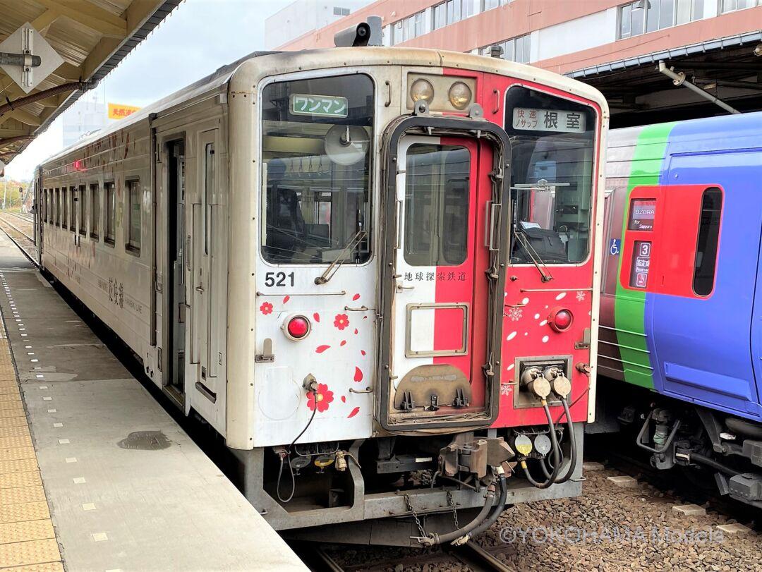GM JR北海道キハ54形（500番代・地球探索鉄道花咲線ラッピングトレイン 