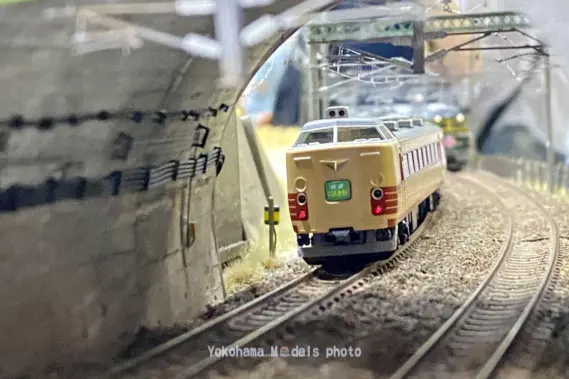専用扱い✨鉄道模型✨Nゲージ✨ジオラマ✨ハイクオリティ仕上げ✨避暑地&別荘地❗ 専用扱い✨鉄道模型✨Nゲージ✨ジオラマ✨ハイクオリティ仕上げ