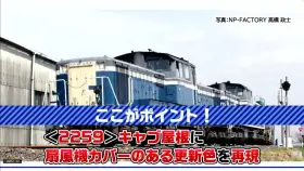 TOMIX DD51 800形ディーゼル機関車（JR貨物更新車） 品番：2259